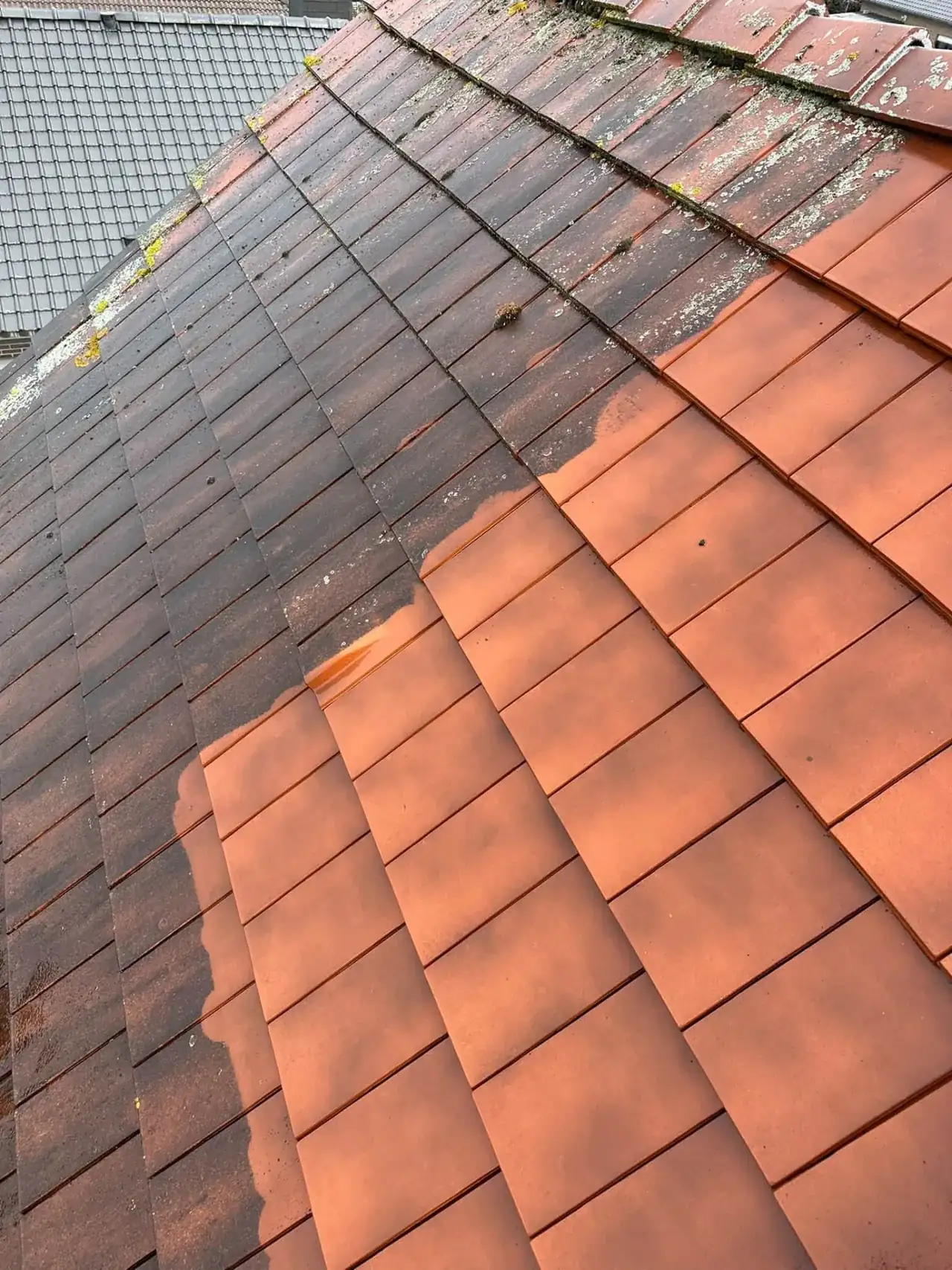 Rode dakpannen van dichtbij: links nog vervuild, rechts gereinigd