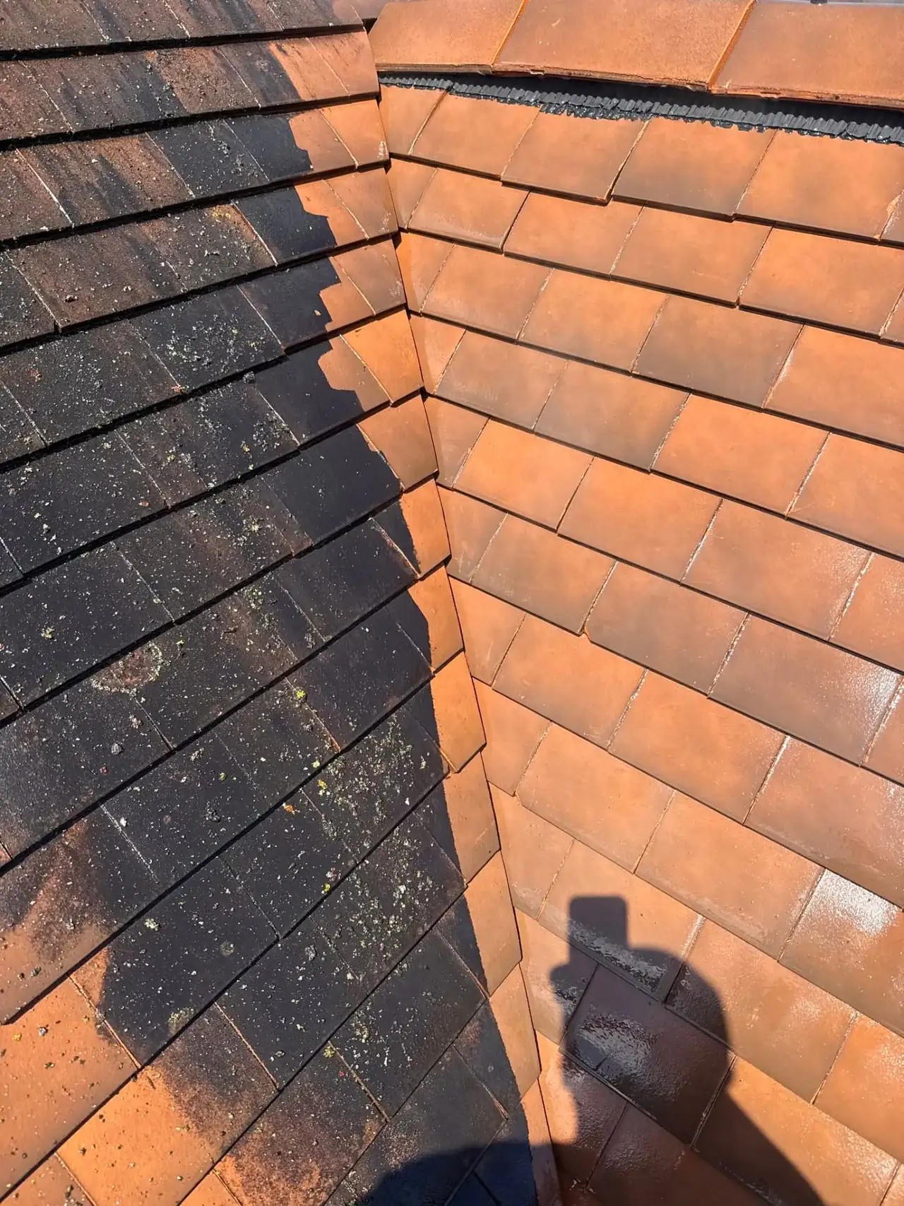 Donkere dakpannen: links zwart van de vervuiling, rechts de originele kleur