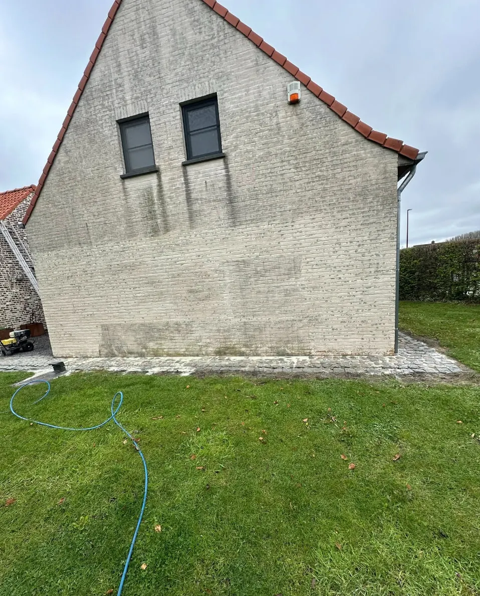 Witte puntgevel met groene en grijze aanslag voor gevelreiniging